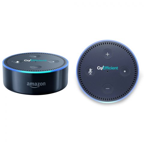 Echo Dot